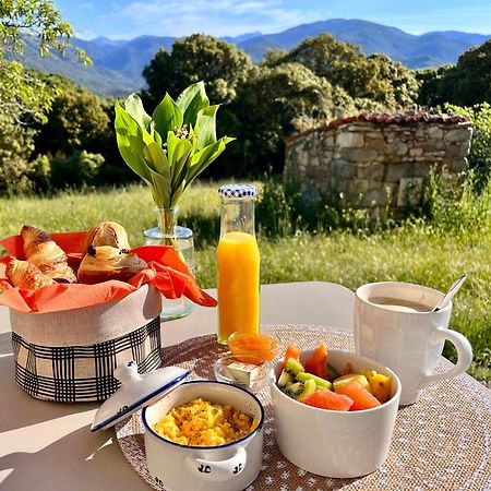 Tradition Corse Et Modernite A Cantina Granace 外观 照片