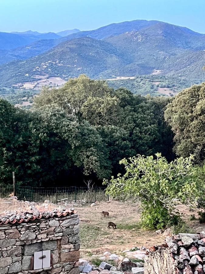 Tradition Corse Et Modernite A Cantina Granace 外观 照片